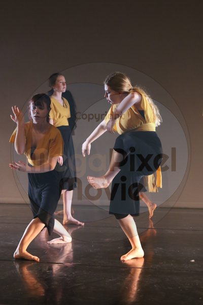 Let's Dance - Image 2460