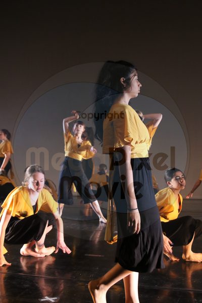 Let's Dance - Image 2476