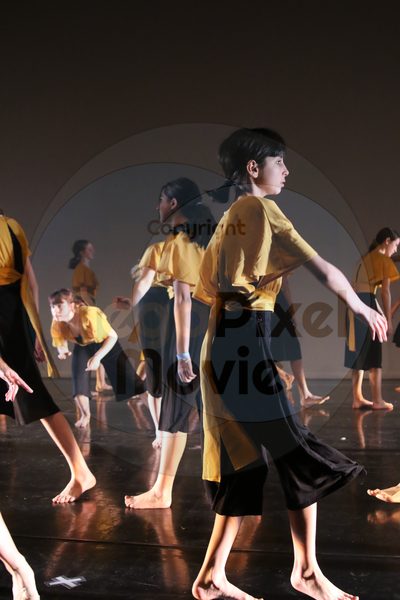 Let's Dance - Image 2479