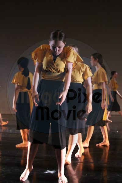 Let's Dance - Image 2485