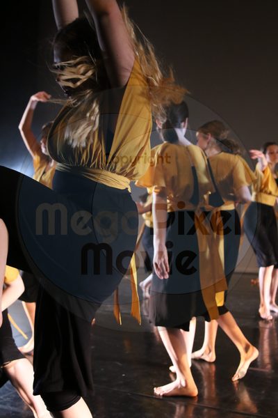 Let's Dance - Image 2489