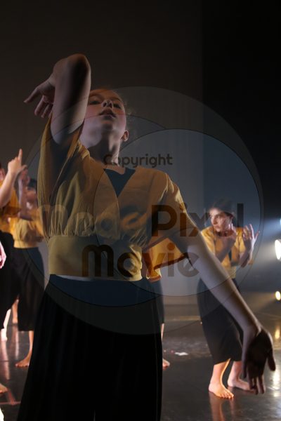 Let's Dance - Image 2496