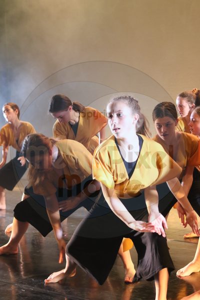 Let's Dance - Image 2514