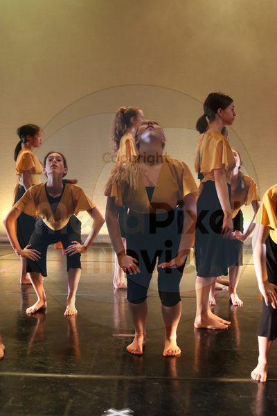 Let's Dance - Image 2521