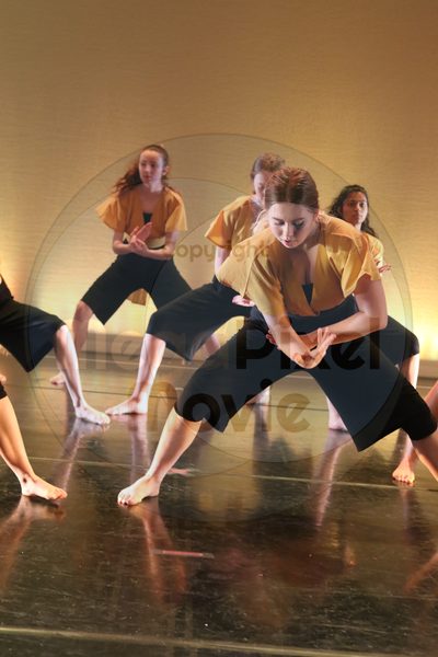 Let's Dance - Image 2567