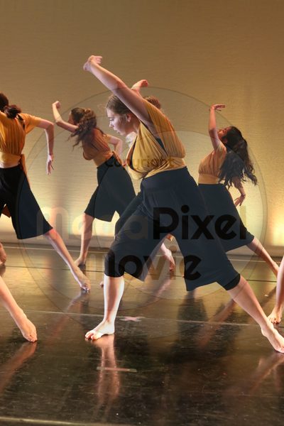 Let's Dance - Image 2569