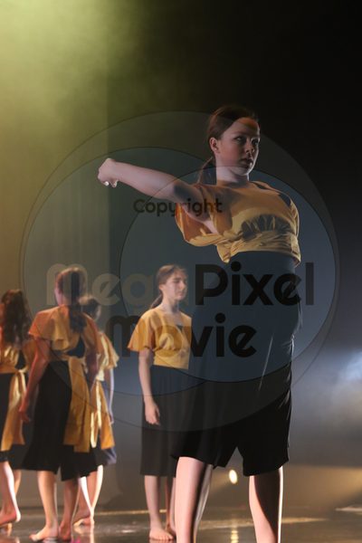 Let's Dance - Image 2810