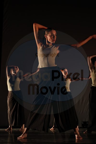 Let's Dance - Image 696A3841
