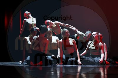 Let's Dance - Image 696A4481
