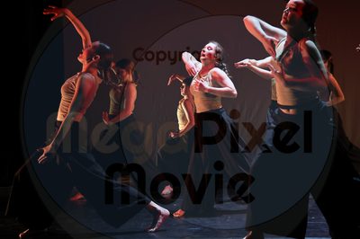 Let's Dance - Image 696A5171