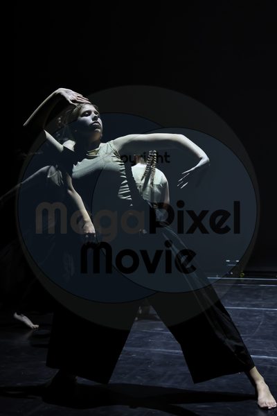 Let's Dance - Image 696A5273
