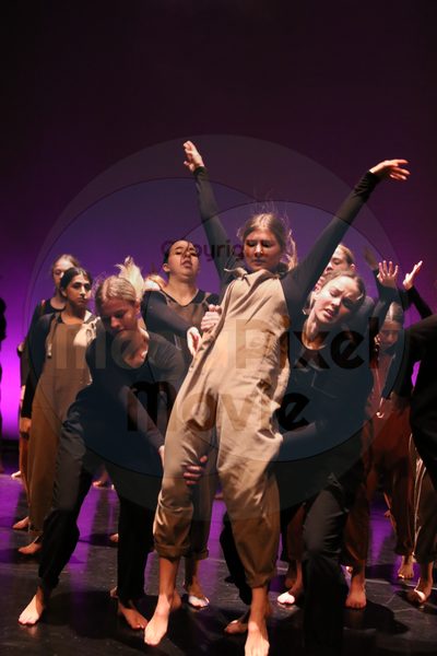 Let's Dance - Image 5787