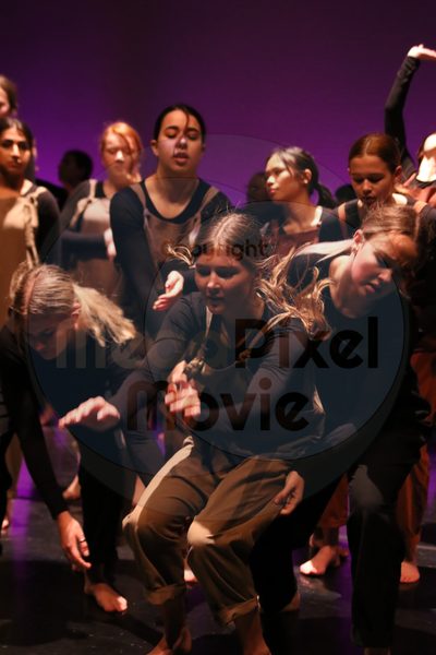 Let's Dance - Image 5788