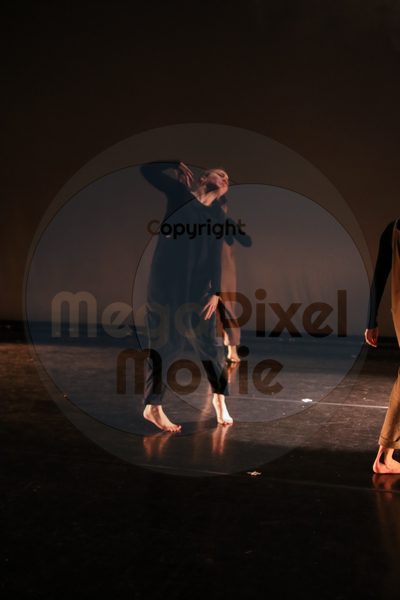 Let's Dance - Image 5951