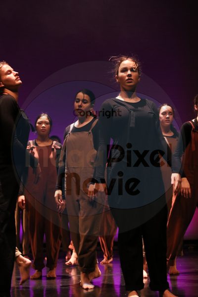 Let's Dance - Image 6085
