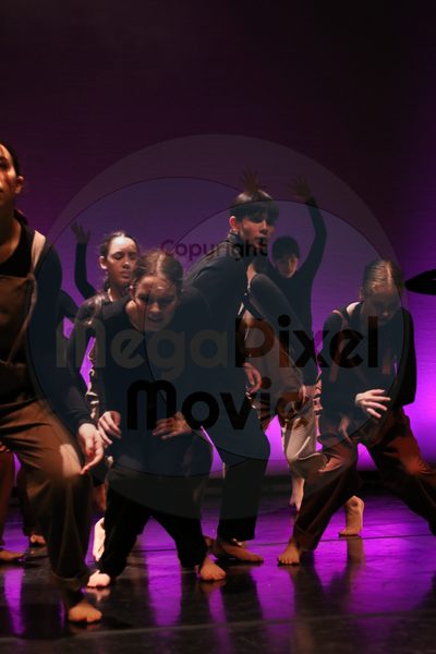 Let's Dance - Image 6092