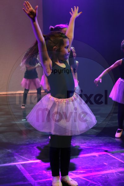 Let's Dance - Image 3262