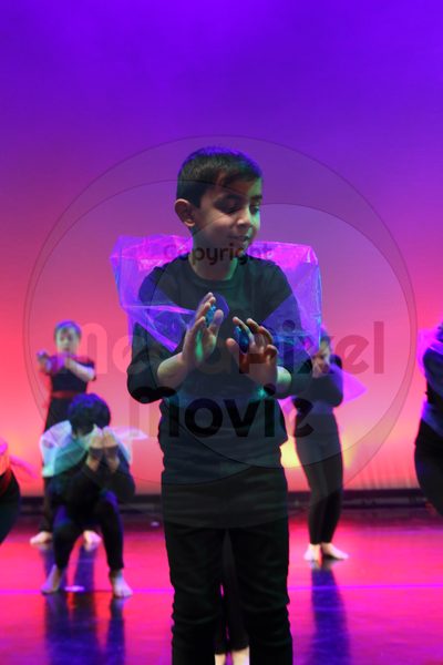 Let's Dance - Image 6061