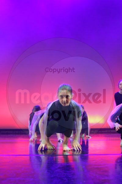 Let's Dance - Image 6230
