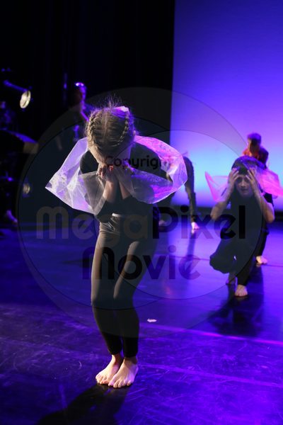 Let's Dance - Image 2074