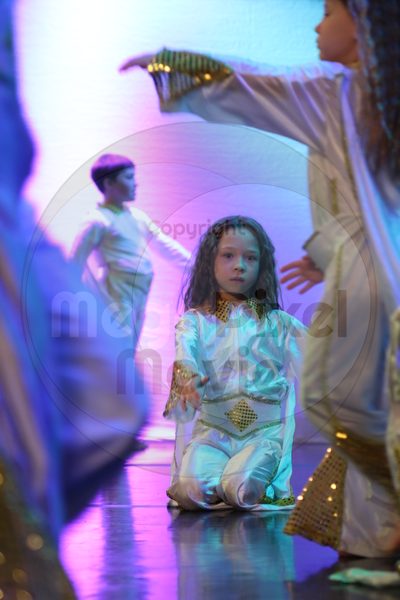 Let's Dance - Image 8344