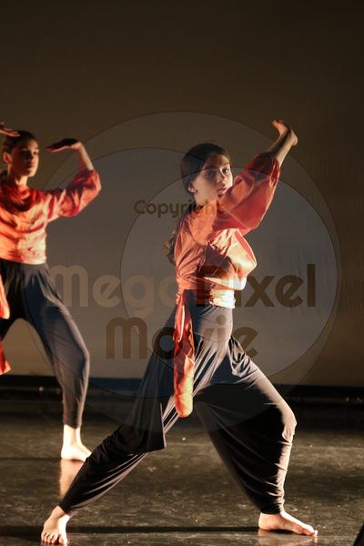 Let's Dance - Image 8537